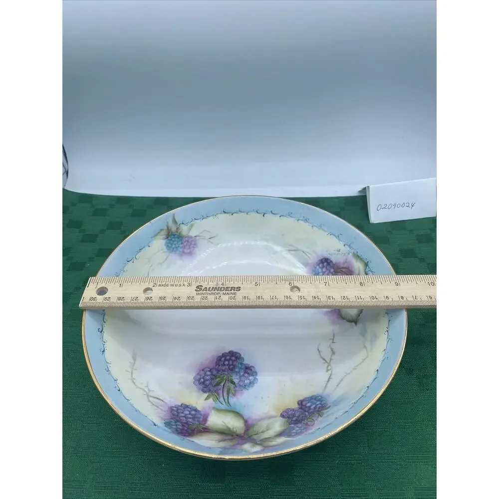Antique Blackberry Hand Painted Porcelain Bowl Unbranded 9” Diameter